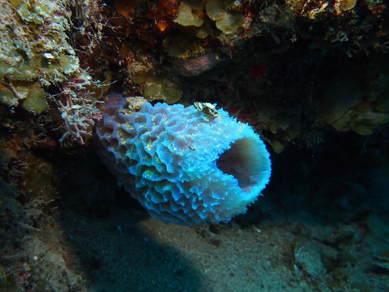 Curacao 04-12 227.JPG